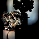 Illustration for article titled Gruesome shadow art transforms garbage and mummified rats into severed heads